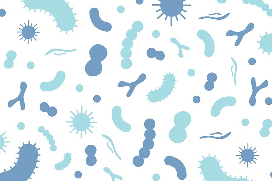 MaaT Pharma Announces Initiation of New Collection and Manufacturing Campaign for its Microbiome Biotherapeutic Product Portfolio