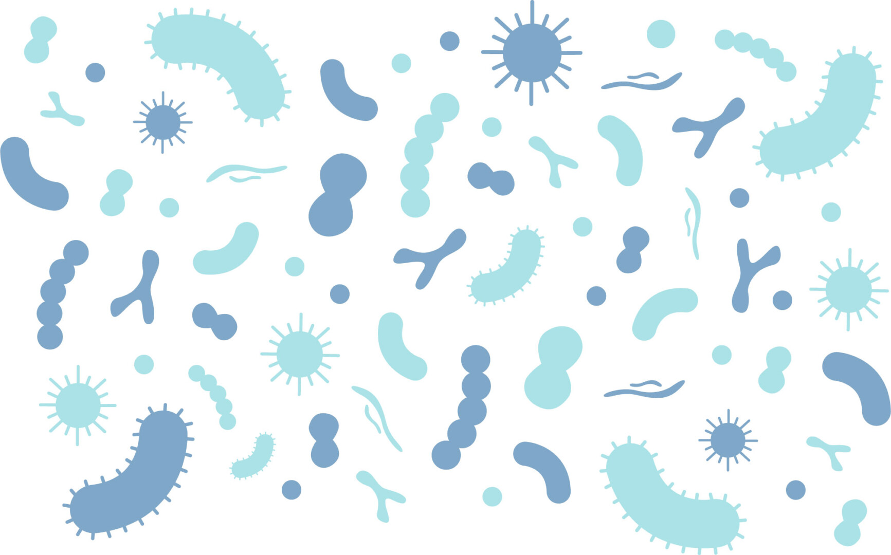 PR FDA Safety Alert MaaT Pharma