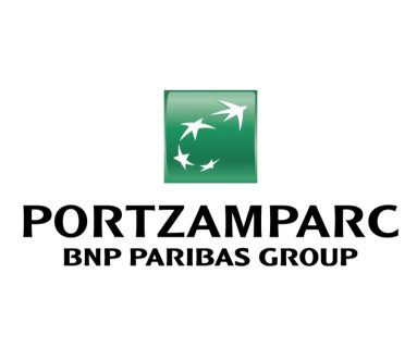 PZP LOGO