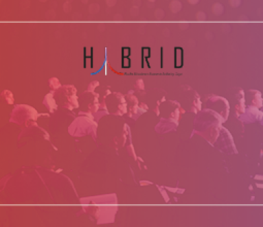 PhotoWebsite-Hybridays 21