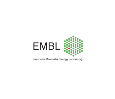 Website_EBML copie